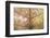 Traditional Kamasan Paintings-G &-Framed Photographic Print