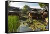 Traditional Kampung Style Rooms over Carp Ponds at the Kampung Sumber Alam Hot Springs Hotel-Rob-Framed Stretched Canvas