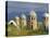 Traditional Kirghiz Cemetary, Near Burana Tower, Kyrgyzstan, Central Asia-Upperhall Ltd-Stretched Canvas