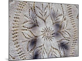 Traditional Lace Tablecloth, Nessebur, Bulgaria-Cindy Miller Hopkins-Mounted Photographic Print