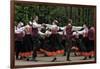 Traditional Latvian Folk Dancing, Near Riga, Baltic States-Gary Cook-Framed Photographic Print