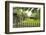 Traditional Lithuanian Farmsteads from the Aukstaitija Region, Rumsiskes, Lithuania-Gary Cook-Framed Photographic Print