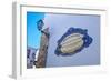 Traditional Local Street Sign and Street Lamp, Old Town, Albufeira, Algarve, Portugal, Europe-Charlie Harding-Framed Photographic Print