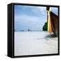 Traditional long tail boat, Thailand-null-Framed Stretched Canvas