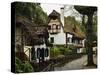 Traditional Madeira House, Queimadas, Madeira, Portugal, Atlantic Ocean, Europe-Jochen Schlenker-Stretched Canvas