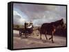 Traditional Mennonite Family with Pony and Trap, Camp 9, Shipyard, Belize, Central America-Upperhall Ltd-Framed Stretched Canvas