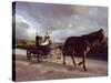 Traditional Mennonite Family with Pony and Trap, Camp 9, Shipyard, Belize, Central America-Upperhall Ltd-Stretched Canvas