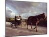 Traditional Mennonite Family with Pony and Trap, Camp 9, Shipyard, Belize, Central America-Upperhall Ltd-Mounted Premium Photographic Print