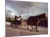 Traditional Mennonite Family with Pony and Trap, Camp 9, Shipyard, Belize, Central America-Upperhall Ltd-Mounted Photographic Print