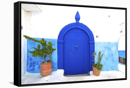 Traditional Moroccan Decorative Door, Rabat, Morocco, North Africa-null-Framed Stretched Canvas