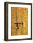 Traditional Moroccan Decorative Door, Rabat, Morocco, North Africa-Neil Farrin-Framed Photographic Print