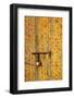 Traditional Moroccan Decorative Door, Rabat, Morocco, North Africa-Neil Farrin-Framed Photographic Print