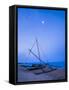 Traditional Outrigger Fishing Boat (Oruva)-Matthew Williams-Ellis-Framed Stretched Canvas