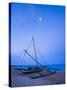 Traditional Outrigger Fishing Boat (Oruva)-Matthew Williams-Ellis-Stretched Canvas