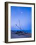 Traditional Outrigger Fishing Boat (Oruva)-Matthew Williams-Ellis-Framed Photographic Print