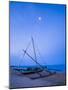 Traditional Outrigger Fishing Boat (Oruva)-Matthew Williams-Ellis-Mounted Photographic Print