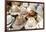 Traditional Panama hats for sale at a street market in Cartagena, Colombia, South America-Alex Treadway-Framed Photographic Print