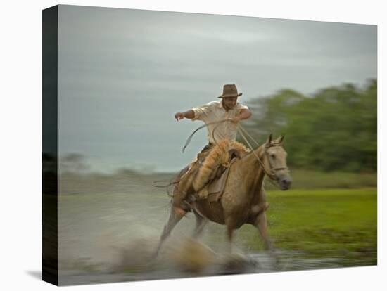 Traditional Pantanal Cowboys, Peao Pantaneiro, in Wetlands, Mato Grosso Do Sur Region, Brazil-Mark Hannaford-Stretched Canvas