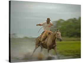 Traditional Pantanal Cowboys, Peao Pantaneiro, in Wetlands, Mato Grosso Do Sur Region, Brazil-Mark Hannaford-Stretched Canvas