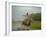 Traditional Pantanal Cowboys, Peao Pantaneiro, in Wetlands, Mato Grosso Do Sur Region, Brazil-Mark Hannaford-Framed Photographic Print