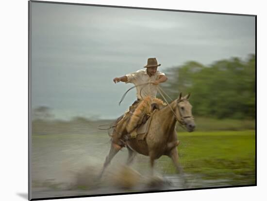 Traditional Pantanal Cowboys, Peao Pantaneiro, in Wetlands, Mato Grosso Do Sur Region, Brazil-Mark Hannaford-Mounted Photographic Print