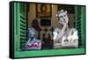 Traditional Puppets in a Window in Sao Joao Del Rei, Minas Gerais, Brazil, South America-Michael Runkel-Framed Stretched Canvas