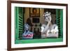 Traditional Puppets in a Window in Sao Joao Del Rei, Minas Gerais, Brazil, South America-Michael Runkel-Framed Photographic Print