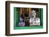 Traditional Puppets in a Window in Sao Joao Del Rei, Minas Gerais, Brazil, South America-Michael Runkel-Framed Photographic Print