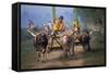 Traditional Racing With Water Buffalo Chariots, Bali, Indonesia-John Downer-Framed Stretched Canvas