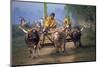 Traditional Racing With Water Buffalo Chariots, Bali, Indonesia-John Downer-Mounted Photographic Print