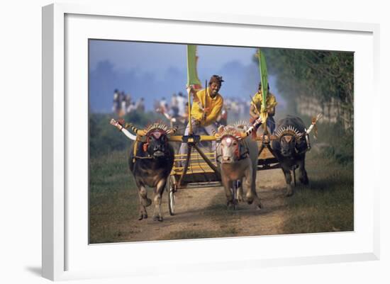 Traditional Racing With Water Buffalo Chariots, Bali, Indonesia-John Downer-Framed Photographic Print