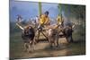 Traditional Racing With Water Buffalo Chariots, Bali, Indonesia-John Downer-Mounted Photographic Print