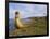 Traditional Reed Boat Uros Island, Flotantes, Lake Titicaca, Peru, South America-Simon Montgomery-Framed Photographic Print