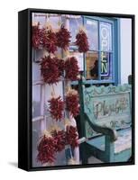 Traditional Ristras in Old Town Albuquerque, New Mexico, USA-Jerry Ginsberg-Framed Stretched Canvas