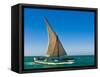 Traditional Sailing Boat in Waters of the Banc D'Arguin, Mauritania, Africa-Michael Runkel-Framed Stretched Canvas
