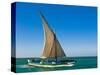 Traditional Sailing Boat in Waters of the Banc D'Arguin, Mauritania, Africa-Michael Runkel-Stretched Canvas