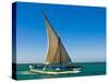 Traditional Sailing Boat in Waters of the Banc D'Arguin, Mauritania, Africa-Michael Runkel-Stretched Canvas