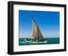 Traditional Sailing Boat in Waters of the Banc D'Arguin, Mauritania, Africa-Michael Runkel-Framed Photographic Print