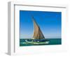 Traditional Sailing Boat in Waters of the Banc D'Arguin, Mauritania, Africa-Michael Runkel-Framed Photographic Print