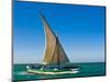 Traditional Sailing Boat in Waters of the Banc D'Arguin, Mauritania, Africa-Michael Runkel-Mounted Photographic Print