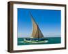 Traditional Sailing Boat in Waters of the Banc D'Arguin, Mauritania, Africa-Michael Runkel-Framed Photographic Print