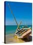 Traditional Sailing Boats in the Banc D'Arguin, Mauritania, Africa-Michael Runkel-Stretched Canvas