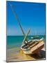 Traditional Sailing Boats in the Banc D'Arguin, Mauritania, Africa-Michael Runkel-Mounted Photographic Print