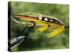 Traditional Salmon Fishing Fly, UK-John Warburton-lee-Stretched Canvas