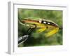 Traditional Salmon Fishing Fly, UK-John Warburton-lee-Framed Photographic Print