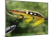 Traditional Salmon Fishing Fly, UK-John Warburton-lee-Mounted Photographic Print