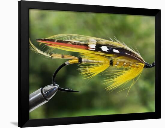 Traditional Salmon Fishing Fly, UK-John Warburton-lee-Framed Photographic Print