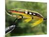 Traditional Salmon Fishing Fly, UK-John Warburton-lee-Mounted Photographic Print