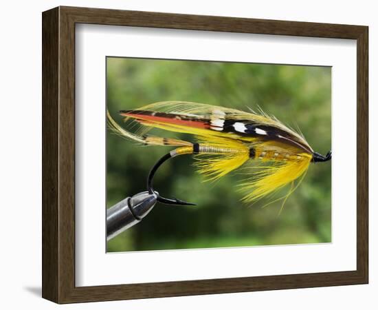 Traditional Salmon Fishing Fly, UK-John Warburton-lee-Framed Photographic Print