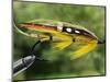 Traditional Salmon Fishing Fly, UK-John Warburton-lee-Mounted Photographic Print